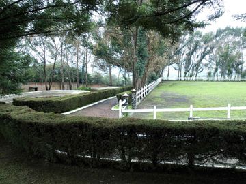 place photo 30
