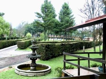 place photo 43
