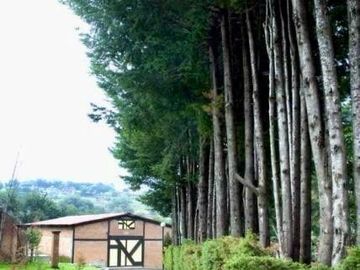 place photo 48