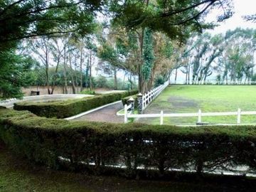place photo 44