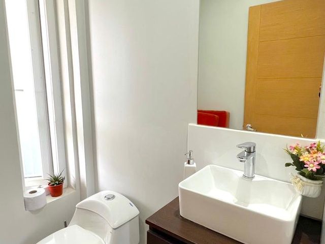 place photo 41