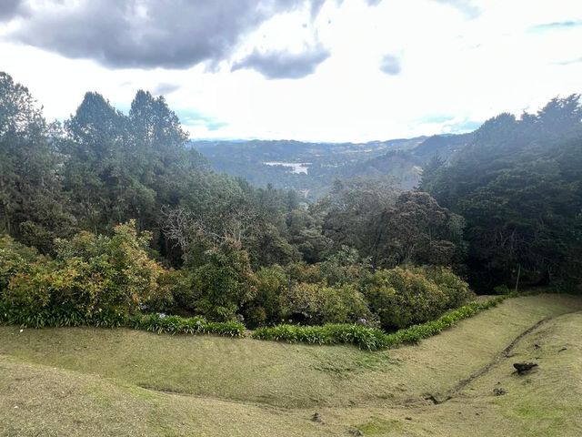 place photo 34