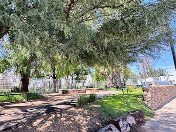 place photo 31