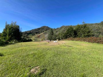 place photo 45