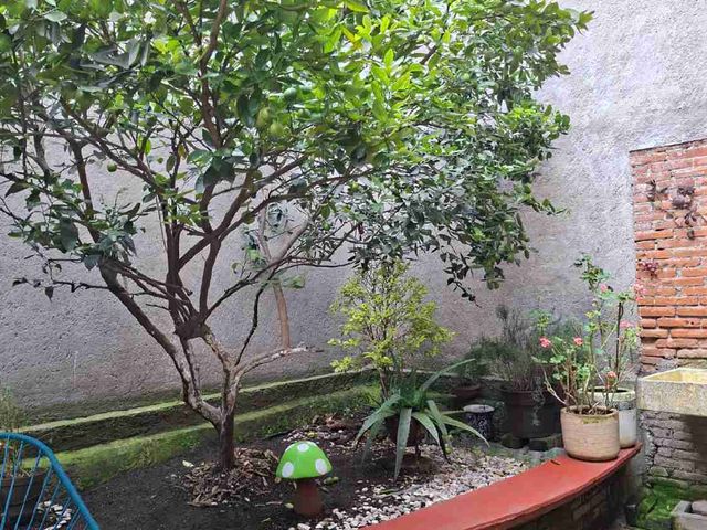 place photo 11