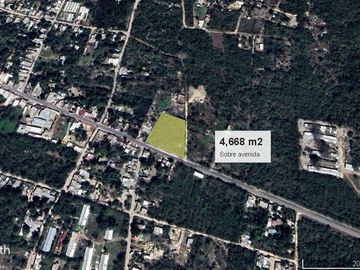 place photo 10