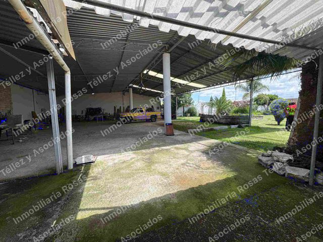 place photo 24