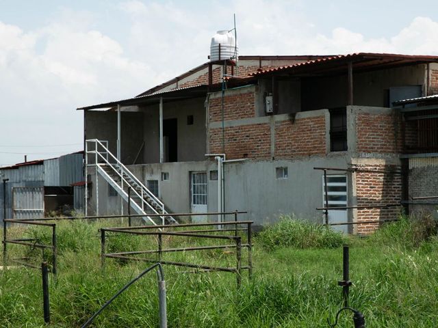 place photo 18