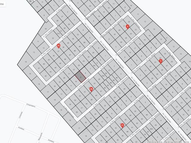 place photo 3