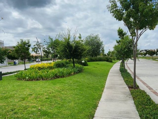 place photo 43
