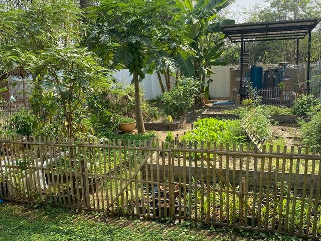 place photo 59