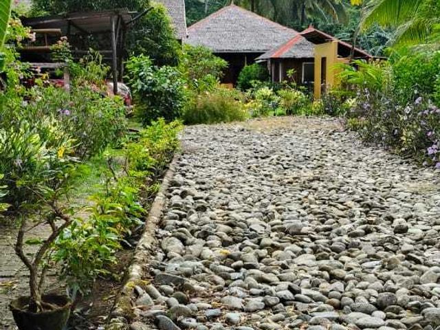 place photo 26