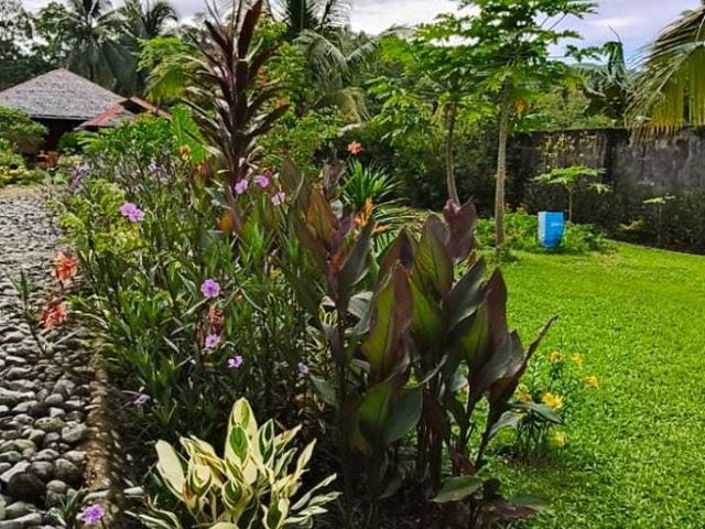 place photo 32