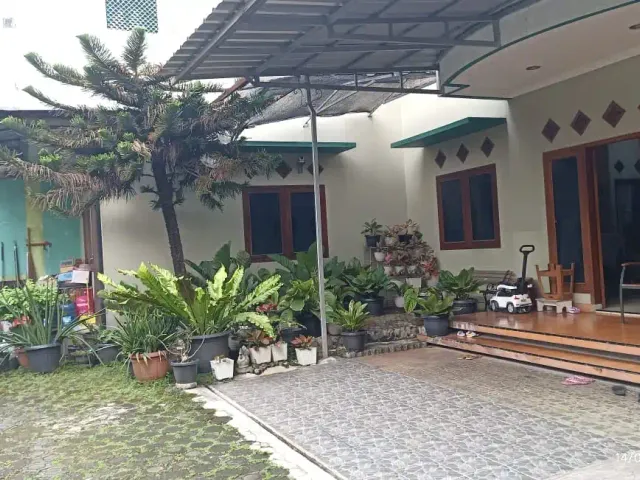 place photo 16