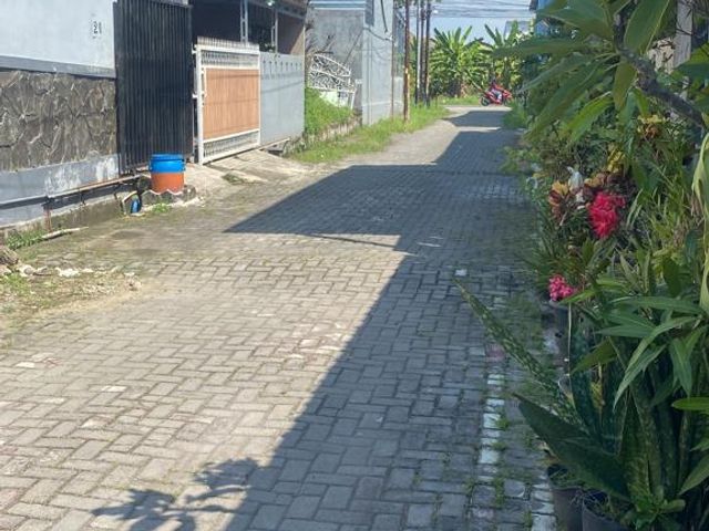 place photo 8