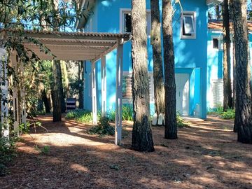 place photo 20