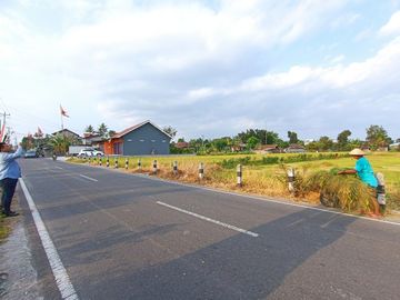place photo 8