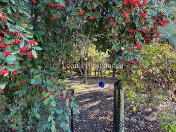 place photo 42