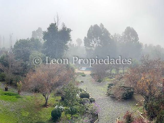 place photo 80