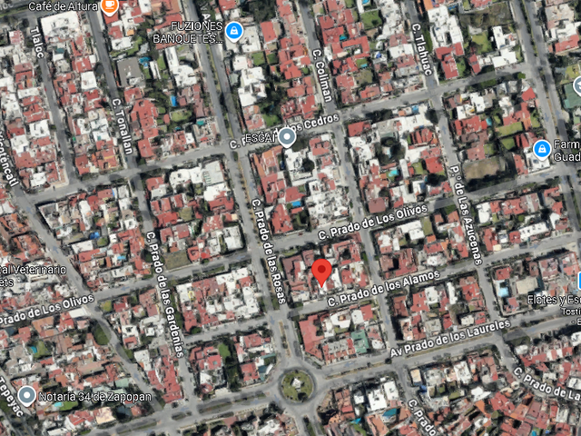 place photo 7
