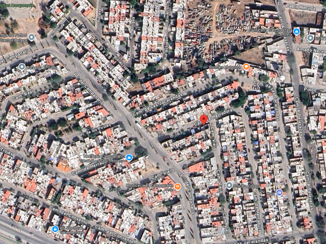 place photo 7