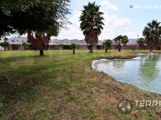 place photo 49