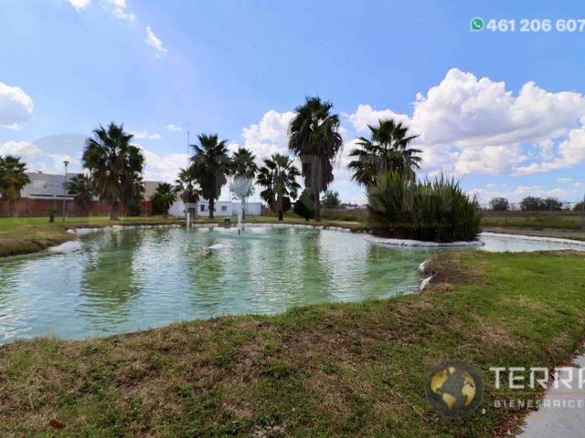 place photo 47