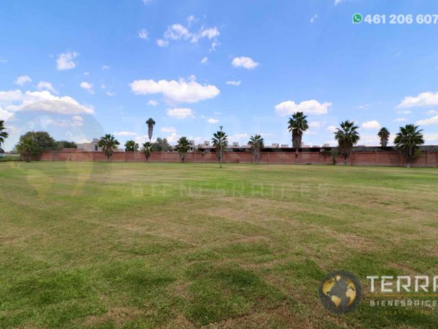 place photo 48