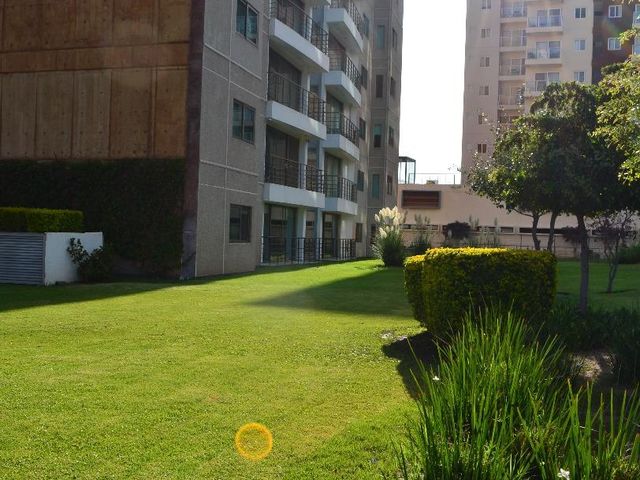 place photo 23