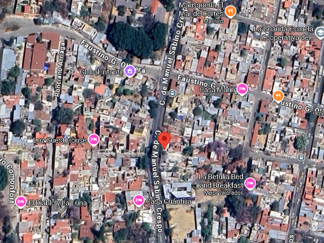 place photo 16