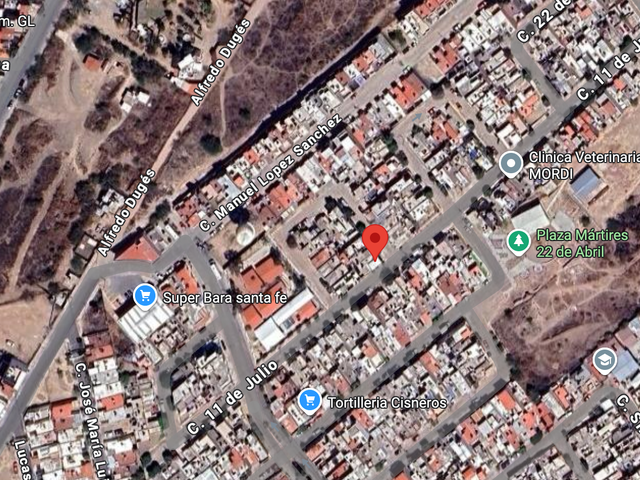 place photo 7