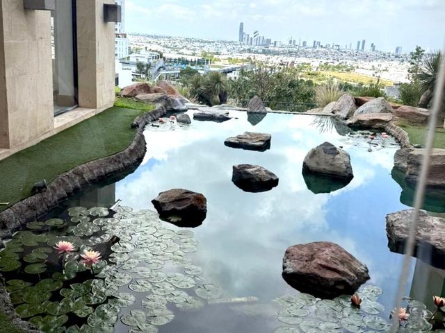 place photo 44