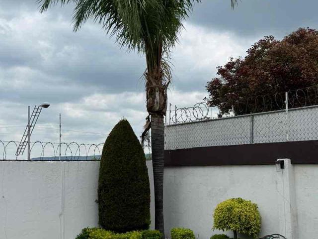place photo 50
