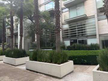 place photo 46
