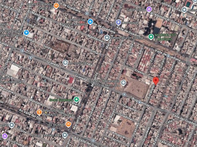 place photo 4