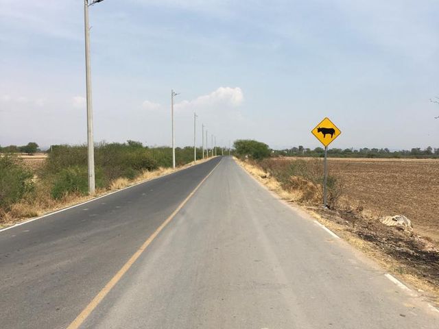 place photo 13