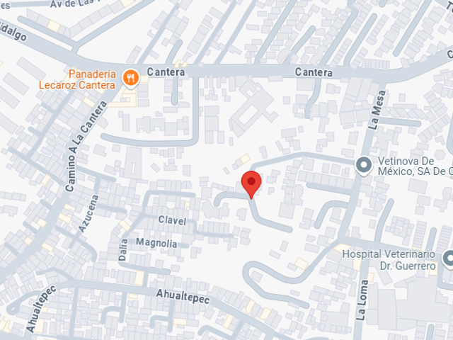place photo 6