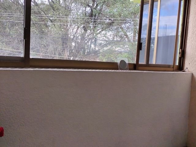 place photo 42