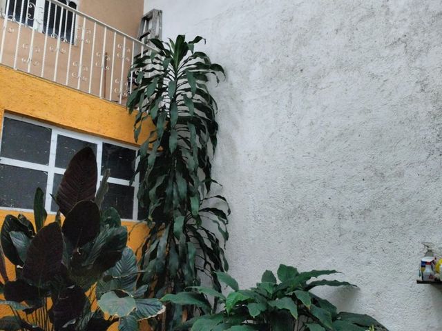 place photo 41