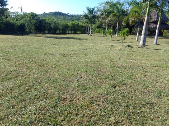 place photo 23