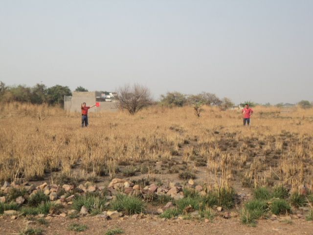 place photo 14