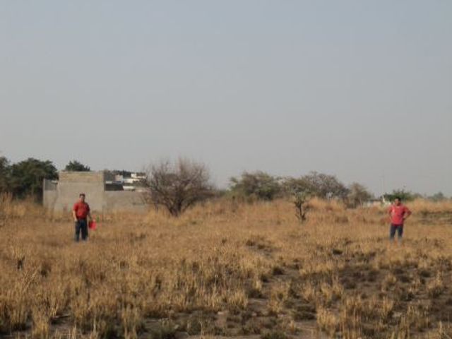 place photo 16