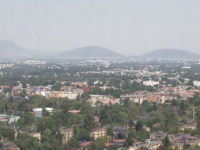 place photo 43