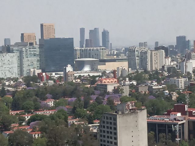 place photo 42