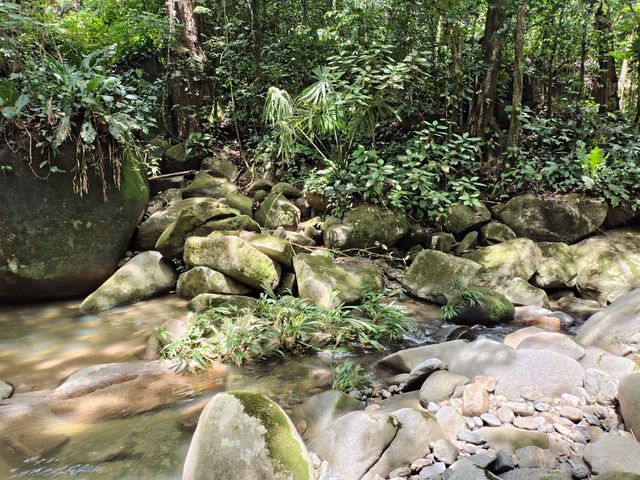 place photo 23