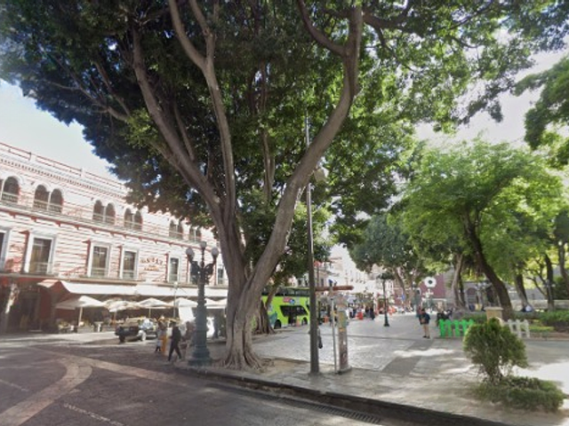 place photo 15