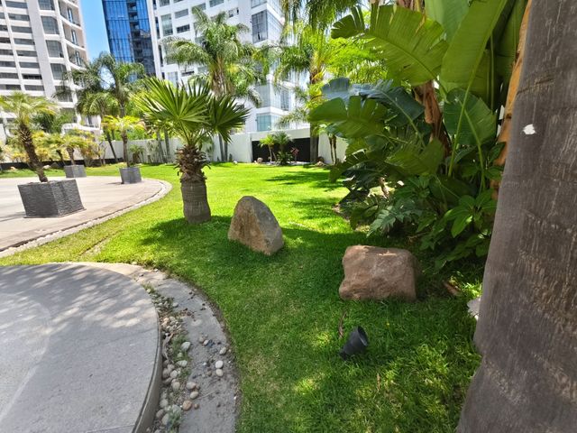 place photo 46