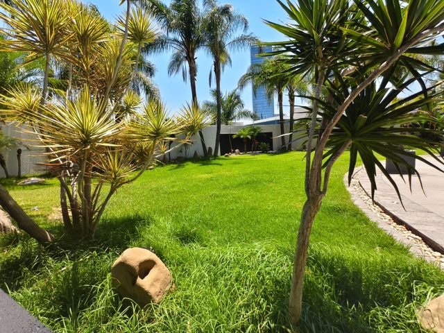 place photo 49