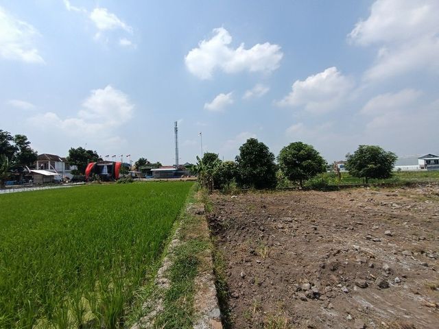 place photo 6