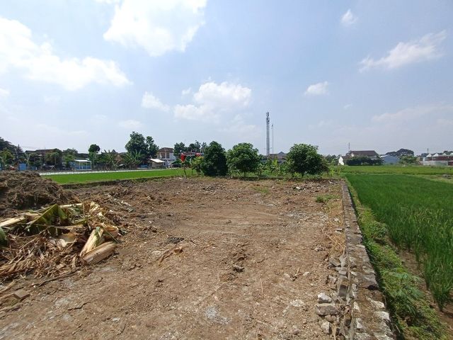 place photo 5